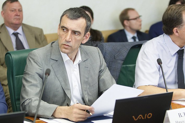 27-05 Н. Власенко Заседание Комитета СФ по экономической политике 5