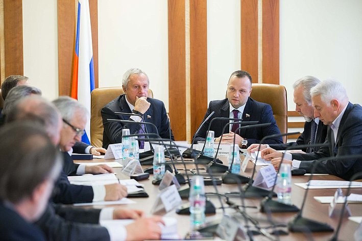 В. Игнатенко провел заседание Временной комиссии Совета Федерации по вопросам совершенствования законодательства РФ о СМИ