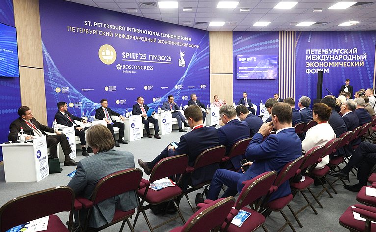XXVIII Петербургский международный экономический форум (ПМЭФ’25). «Инвестиции в электроэнергетике на горизонте до 2050 года»