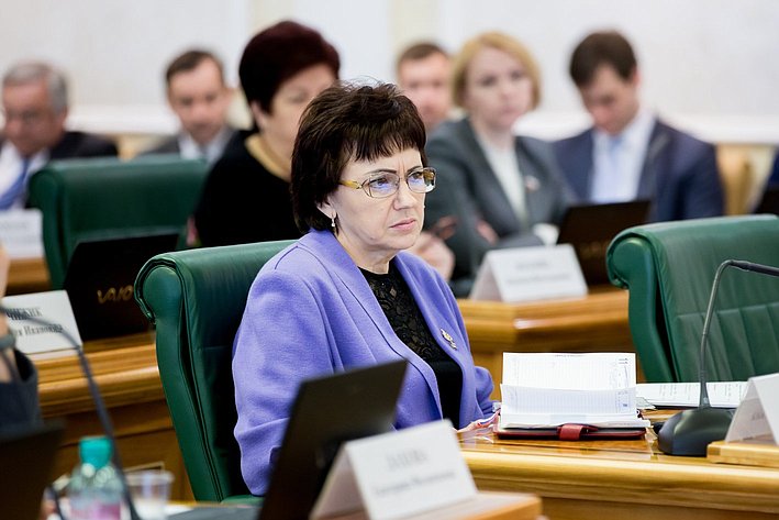 Совет по развитию социальных инноваций субъектов РФ Бибикова