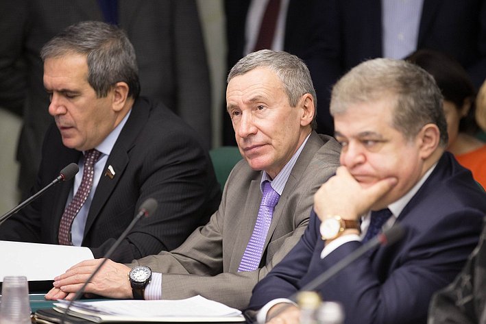 А. Климов Заседание Комитета Совета Федерации по международным делам
