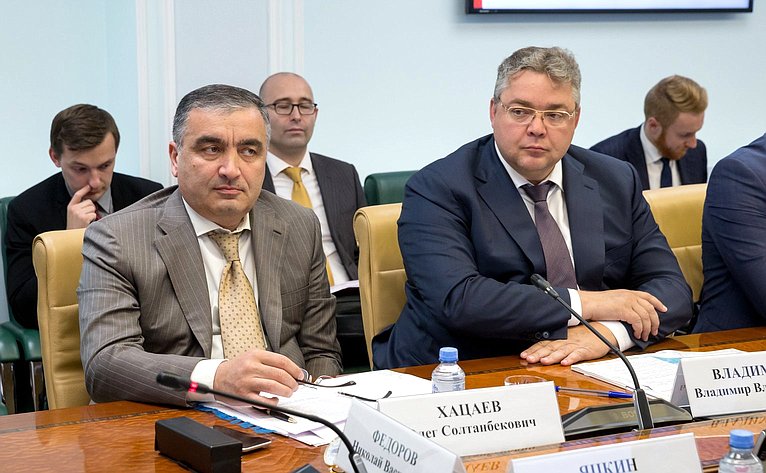 Заседание рабочей группы по взаимодействию с федеральными органами исполнительной власти и органами государственной власти Ставропольского края