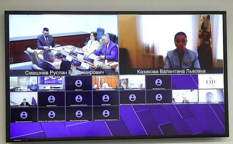 Круглый стол Комитета СФ по конституционному законодательству и государственному строительству «Законодательное обеспечение государственной миграционной политики Российской Федерации в 2025 году: состояние и перспективы»