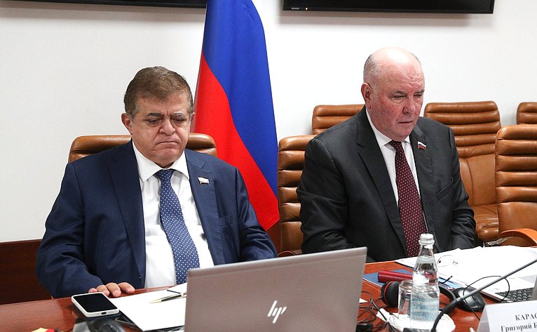 Сенаторы РФ приняли участие в заседании общего комитета по политическим вопросам и безопасности ПА ОБСЕ