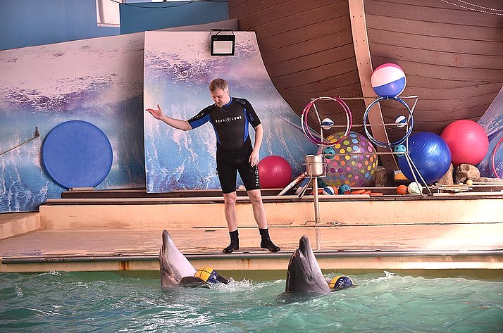 Ирина Рукавишникова в рамках региональной недели организовала посещение ростовского дельфинария для группы детей Донбасса, среди которых были и дети с ограниченными возможностями здоровья