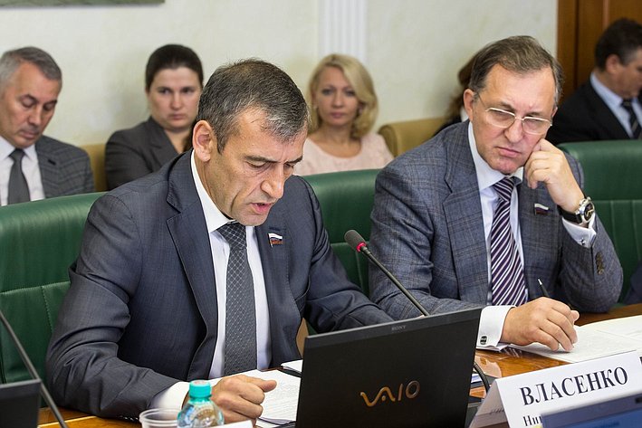 Н. Власенко Заседание Комитета СФ по экономической политике