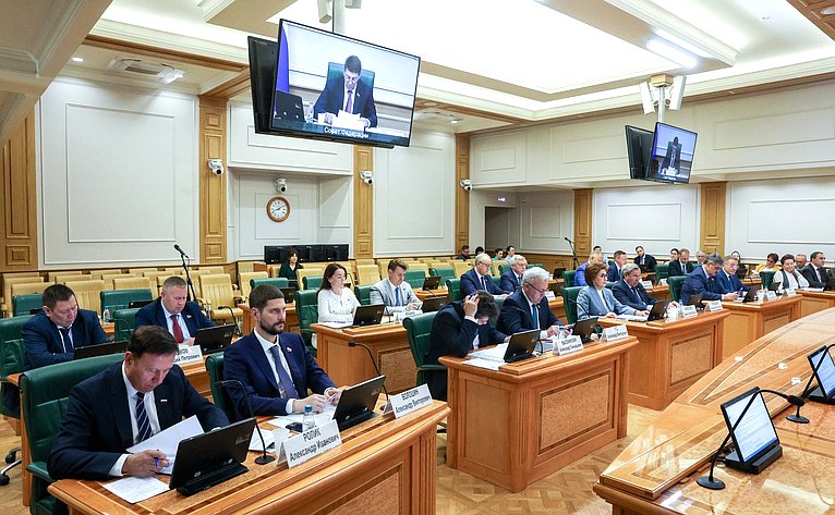 Заседание Комитета СФ по федеративному устройству, региональной политике, местному самоуправлению и делам Севера