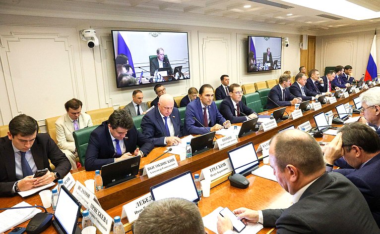 Заседание Комитета Совета Федерации по экономической политике