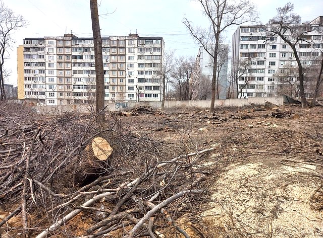 Хабаровчане обратились к Сергею Безденежных с просьбой остановить вырубку городского парка