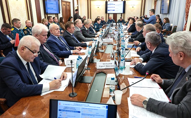 Заседание Комитета Совета Федерации по обороне и безопасности