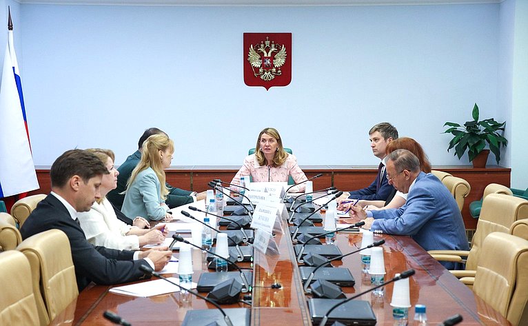 Круглый стол Комитета Совета Федерации по социальной политике «Новые возможности предоставления мер социальной поддержки семей с детьми посредством электронных сертификатов»