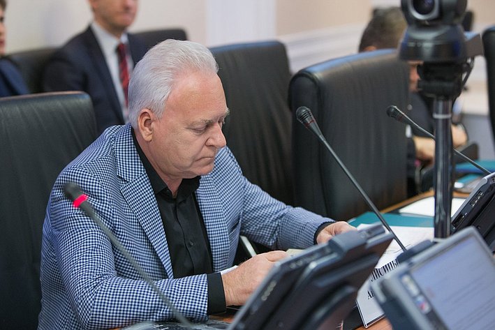 А. Лисицын Заседание Комитета Совета Федерации по международным делам