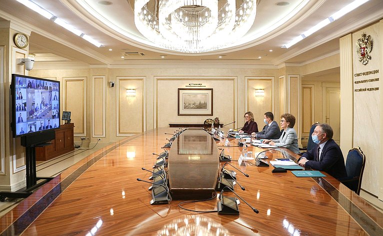 Встреча заместителя Председателя Совета Федерации Галины Кареловой с членами Палаты молодых законодателей