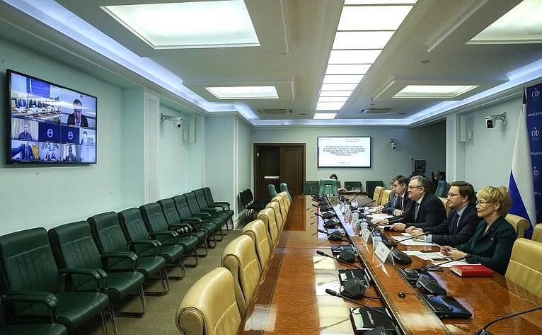 Заседание Экспертного Совета по физической культуре и спорту при Комитете СФ по социальной политике