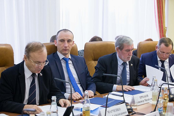 Заседание комитета по местному самоуправлению и делам Севера-10 Марченко