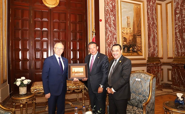 Фарит Мухаметшин в Сенате АРЕ провел консультации с египетскими партнерами