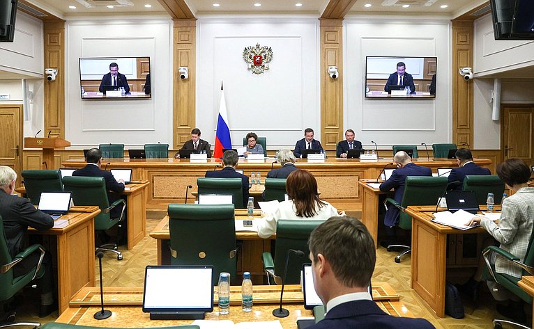 Заседание Комитета Совета Федерации по конституционному законодательству и государственному строительству