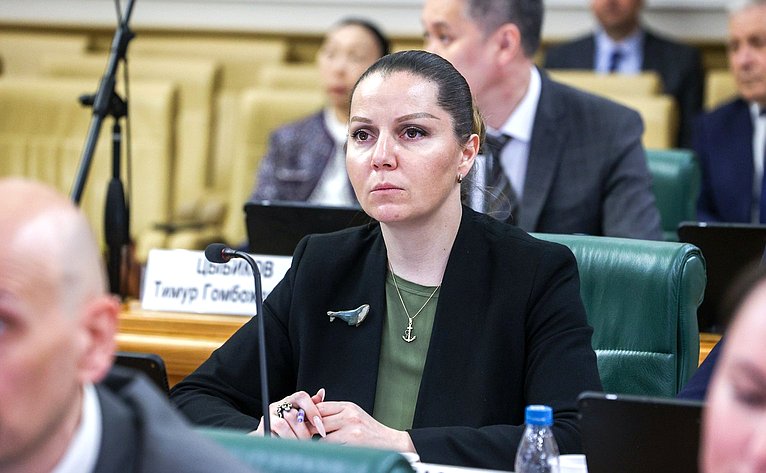 Заседание Комитета Совета Федерации по федеративному устройству, региональной политике, местному самоуправлению и делам Севера