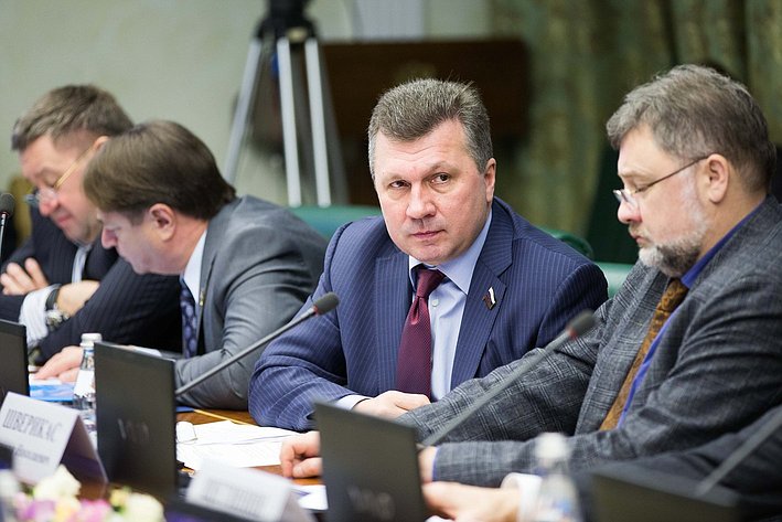 В. Васильев Расширенное заседание Комитета Совета Федерации по экономической политике