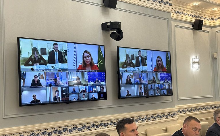 Александр Варфоломеев принял участие в заседании Совета Палаты молодых законодателей при Совете Федерации