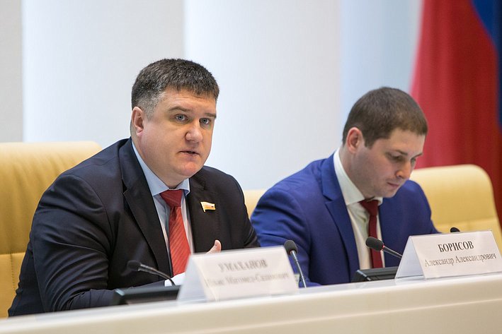 А. Борисов Заседание Палаты молодых законодателей