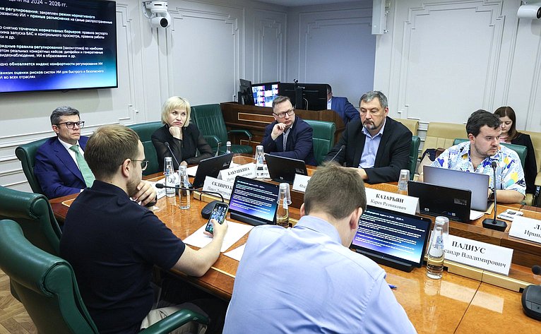 Заседание секции «Искусственный интеллект» Совета по развитию цифровой экономики при Совете Федерации