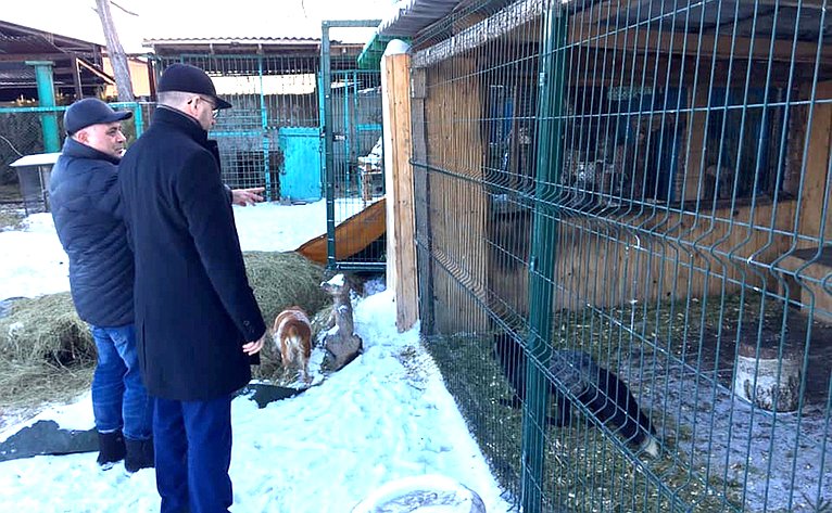 Олег Цепкин отметил важность деятельности Фонда зоозащиты «Спаси меня»