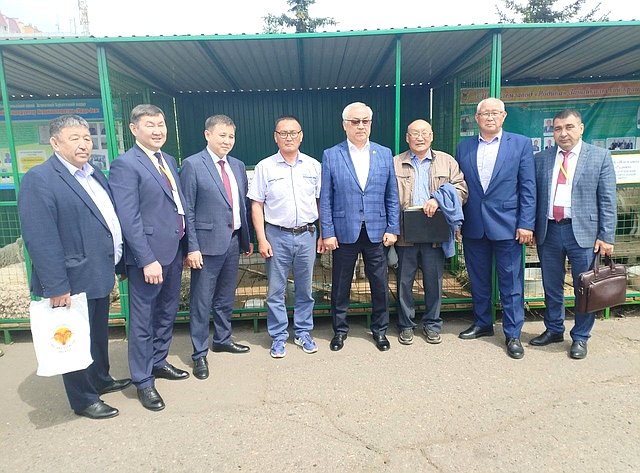 Баир Жамсуев посетил второй этап Российской выставки племенных овец и коз в Чите