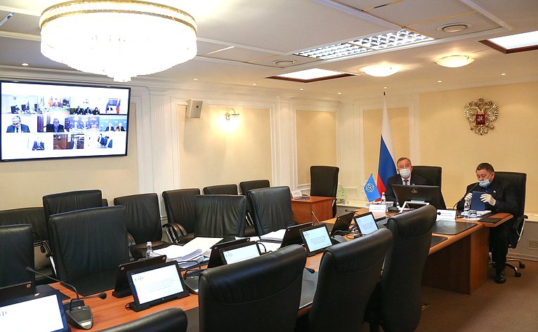 Сенаторы РФ приняли участие в заседании Постоянной комиссии ПА ОДКБ по социально-экономическим и правовым вопросам