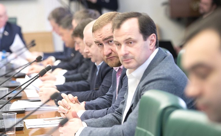 Заседание Комитета СФ по экономической политике с участием представителей органов власти Забайкальского края