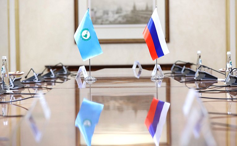 Валентина Матвиенко провела встречу с Председателем Парламента стран Латинской Америки и Карибского бассейна (ПАРЛАТИНО) Роландо Мигелем Гонсалесом Патрисио