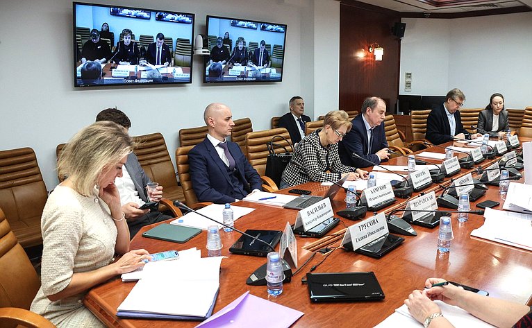 Круглый стол Комитета Совета Федерации по экономической политике «Антимонопольный контроль за формированием хозяйственными обществами цен на товары»