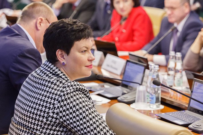 Л. Кононова Заседание Комитета СФ  по социальной политике