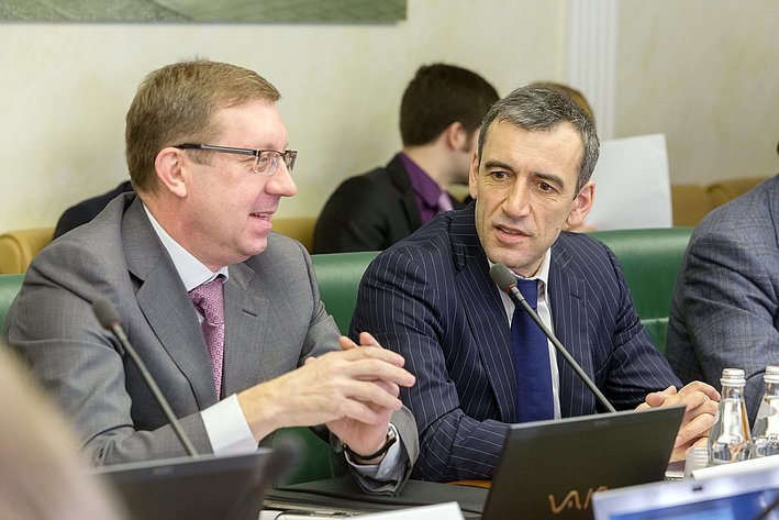 А. Майоров Заседание Комитета Совета Федерации по экономической политике 7
