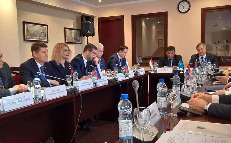 Сенаторы РФ в составе группы международных наблюдателей осуществляют мониторинг подготовки и проведения Конституционного референдума в Республике Беларусь