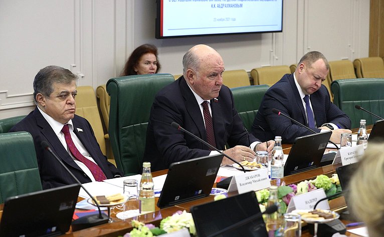 Встреча председателя Комитета СФ по международным делам Григория Карасина с Верховным комиссаром ОБСЕ по делам национальных меньшинств