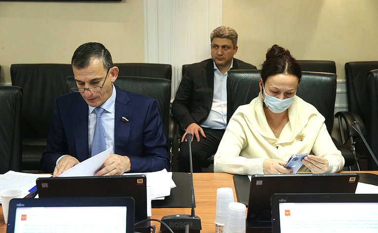 Расширенное заседание Комитета СФ по социальной политике в рамках Дней Республики Ингушетия в СФ