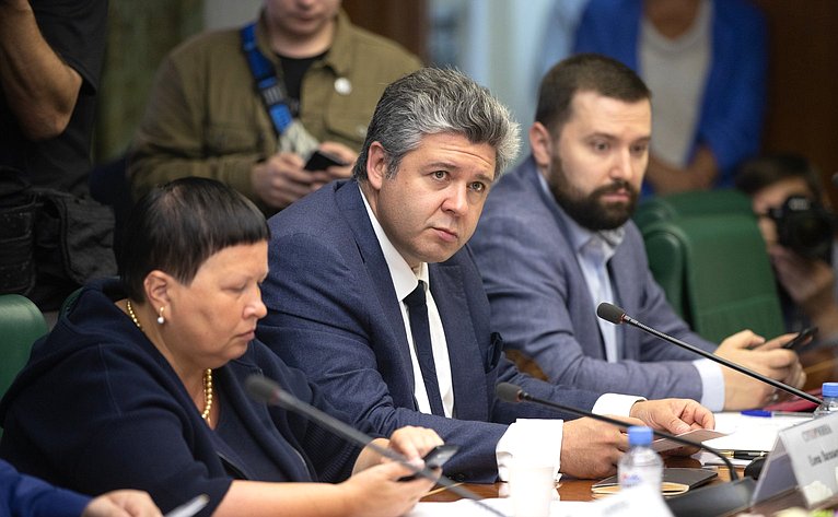 Заседание рабочей группы Временной комиссии Совета Федерации по защите государственного суверенитета и предотвращению вмешательства во внутренние дела РФ