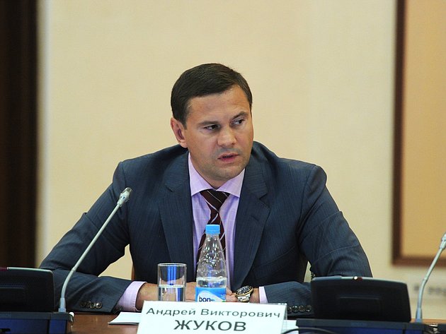05-07 Игнатенко Сочи заседание Общественного совета по подготовке Олимпийских игр 3