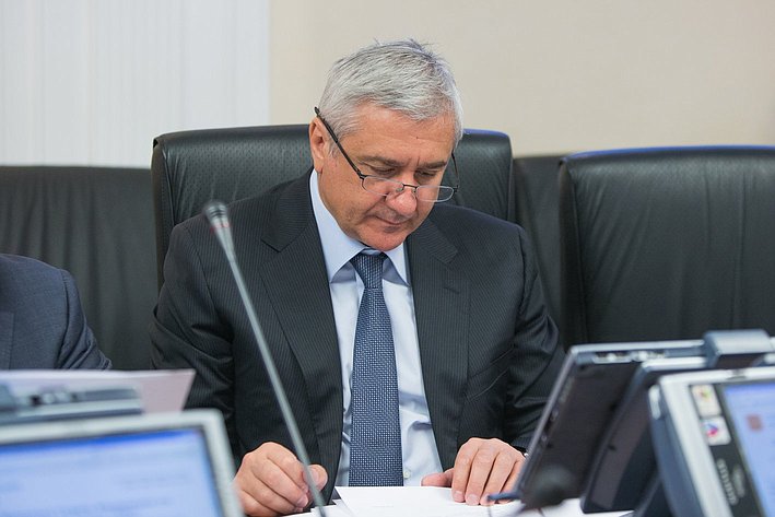 А. Паланкоев Заседание Комитета Совета Федерации по международным делам