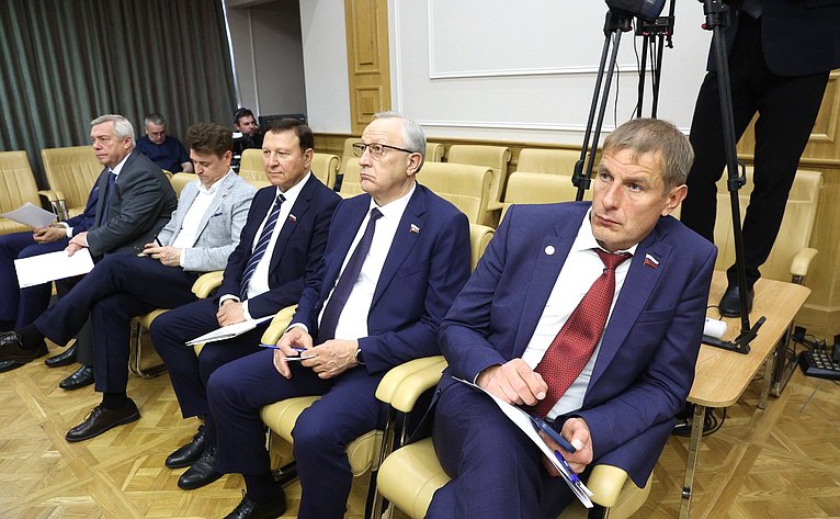 Встреча сенаторов Российской Федерации с Министром экономического развития РФ Максимом Решетниковым в формате «Открытого диалога»