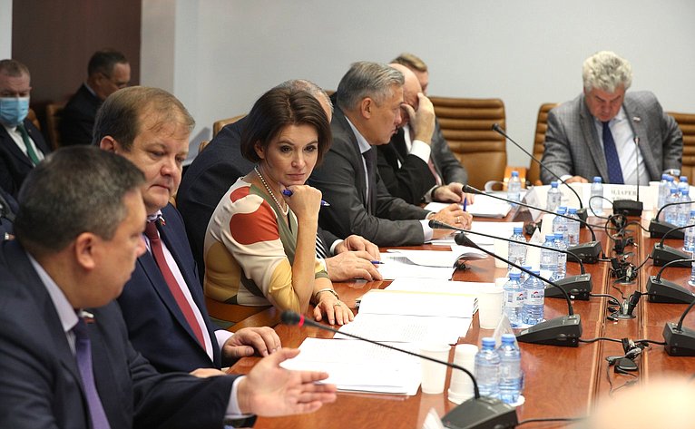 Совместное совещание комитетов СФ по вопросу совершенствования оформления электронных виз для посещения РФ
