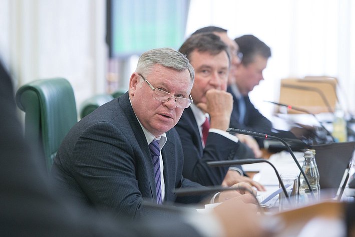В. Петров Заседание Комитета Совета Федерации по бюджету и финансовым рынкам