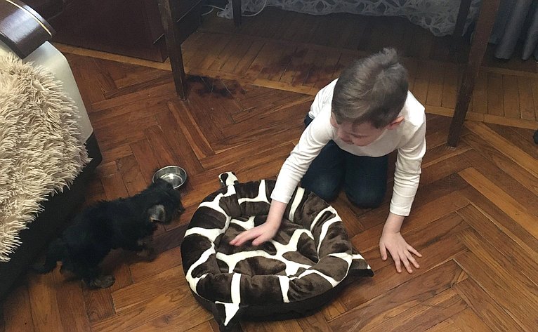 Виктор Новожилов принял участие во всероссийской акции «Елка желаний» и передал в качестве подарка 6-летнему Захару из Северодвинска щенка породы йоркширский терьер