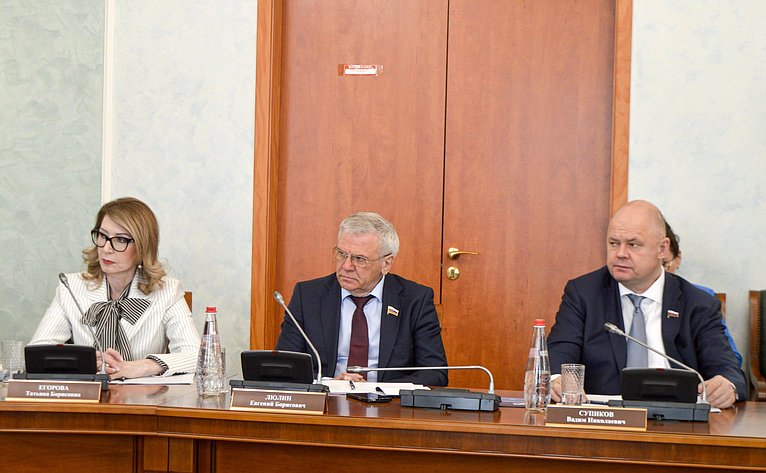 Заседание Комиссии Совета законодателей Российской Федерации по проблемам международного сотрудничества