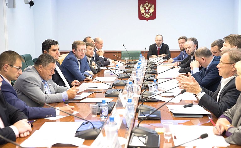 Заседание рабочей группы при Комитете СФ по экономической политике по вопросам малого и среднего предпринимательства в РФ