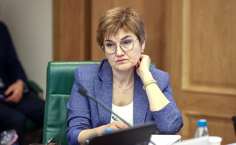 Заседание Комитета Совета Федерации по бюджету и финансовым рынкам