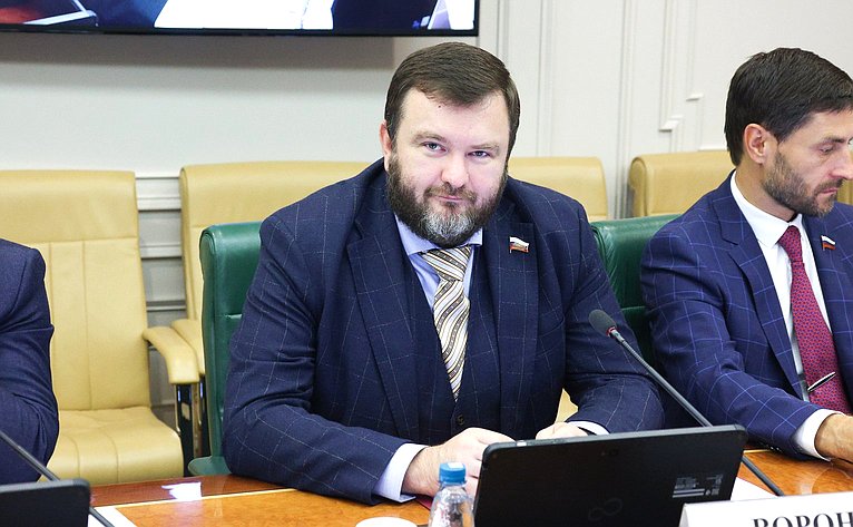 Дмитрий Ворона
