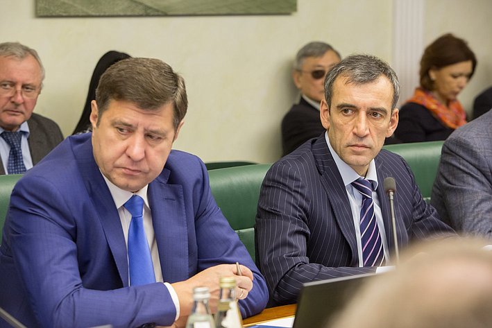 А. Голушко и Н. Власенко Заседание Комитета СФ по экономической политике