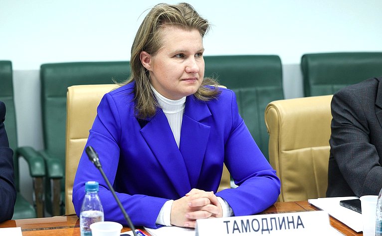 Круглый стол Комитета Совета Федерации по федеративному устройству, региональной политике, МСУ и делам Севера на тему «Актуальные проблемы развития сегмента строительства малоэтажных жилых комплексов»